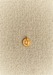 Letter Q