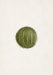 Sonate vert