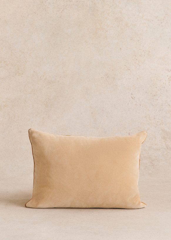 beige velvet cushions