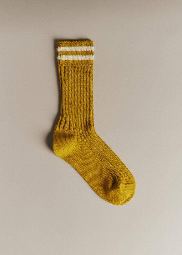 Socks Archie
