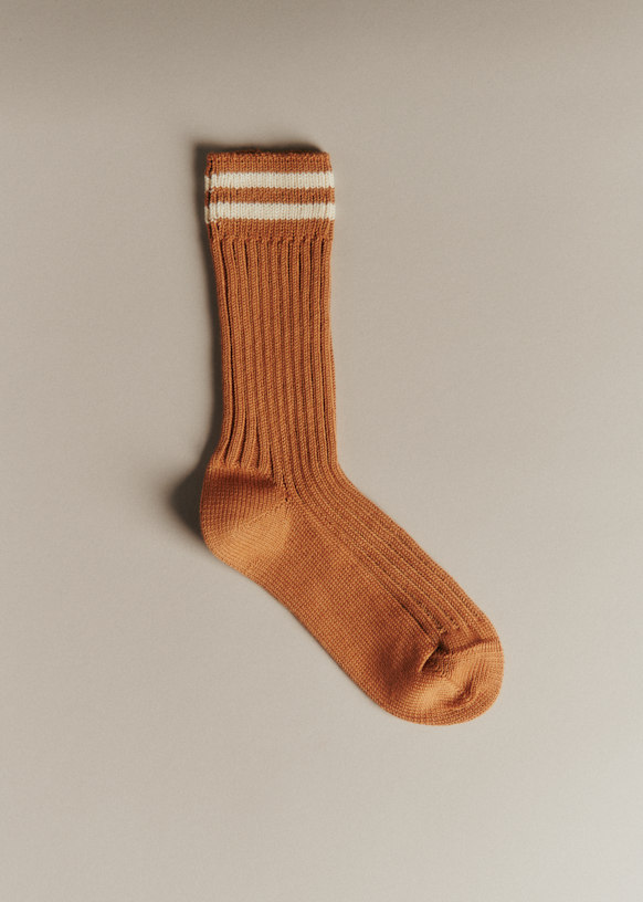 Socks Archie