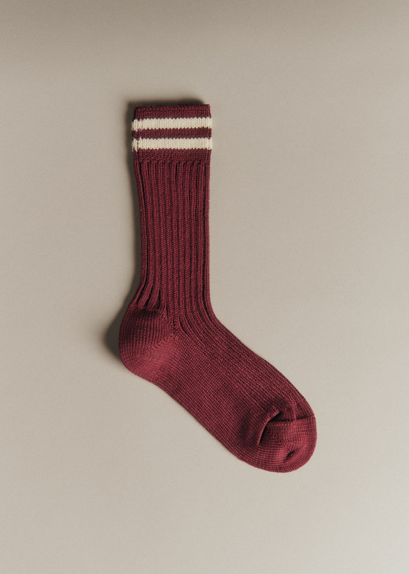 Socks Archie
