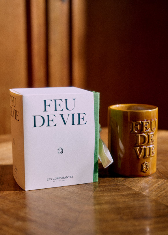 Jeu PC Darkness And Flame - Le Feu De La Vie - Edition Collector - Neuf Sous Blister Pour Windows