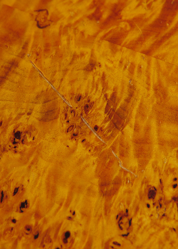 Table basse in loupe d'orme