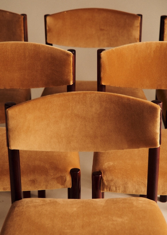 Lot of 6 chaises vintage in palissandre