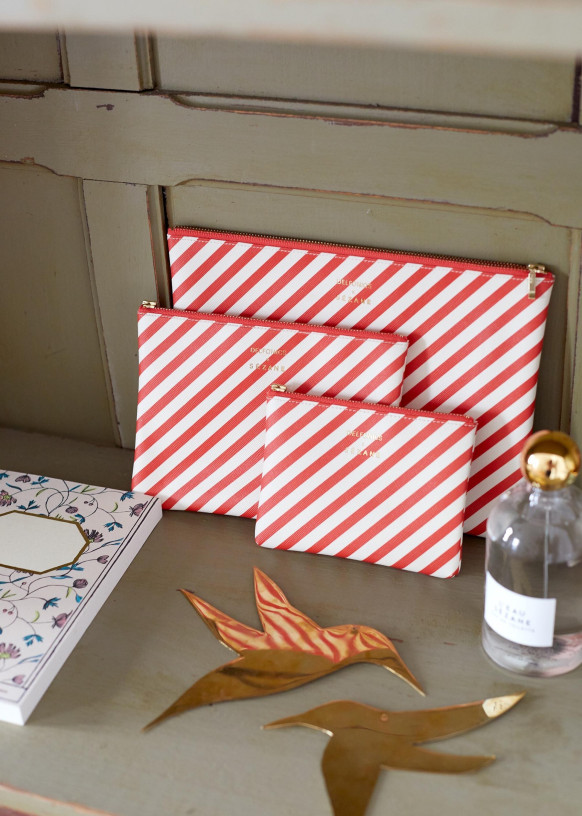 pochette sezane delfonics