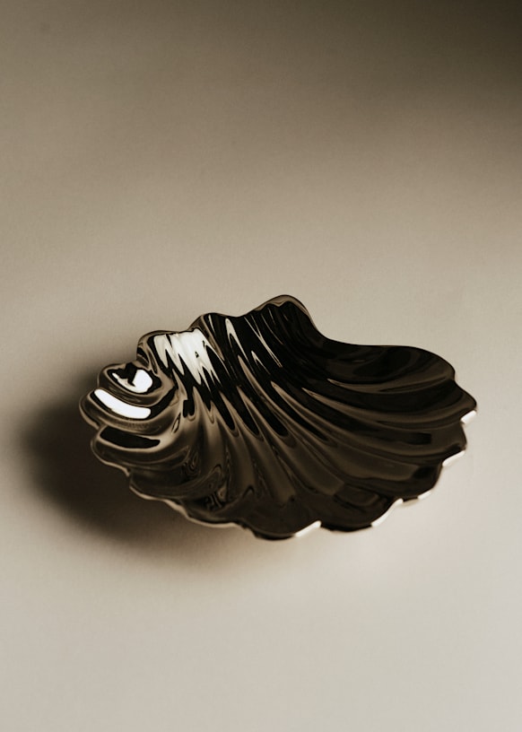 Vide Pocket Coquillage