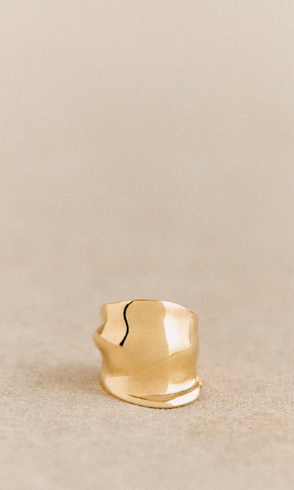 Ready-to-wear, Leather Goods, Accessories and Fragrance